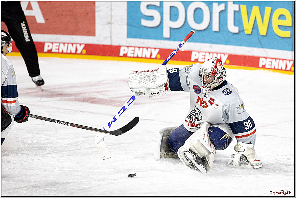 PENNY DEL;  Koelner Haie - Nuernberg Ice Tigers; Koeln, 03.12.2021